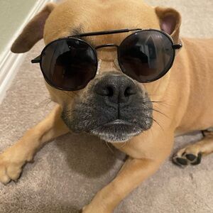 All $5 items currently 3/$10